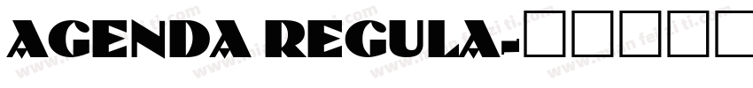 AGENDA REGULA字体转换